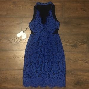 ASTR THE LABEL COBALT BLUE LACE AND MESH DRESS